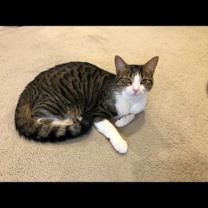 Meet your Posher, Gina